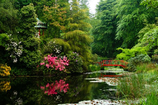 Облаштування природних озер