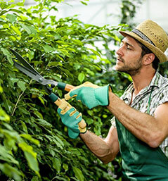 Обслуговування