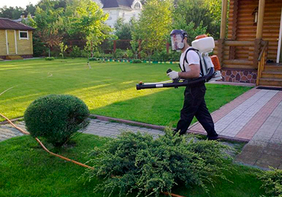 Дендроплан