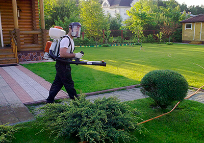 Дендроплан